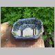 octagonal server blue tree_800x600.jpg
